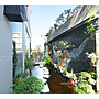 Thực tế thi công nhà chị Thoa - Bình Chánh