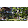 SÂN VƯỜN - GARDEN VILLAS - CELADON TÂN PHÚ
